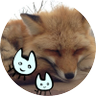 leo&momo 的头像