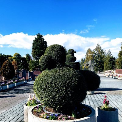 masa_kazun's profile picture