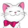 Little Kitty 🇺🇸🇷🇺🇦🇲 profil fotoğrafı