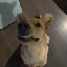 Colby 的头像