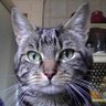 Filos profil fotoğrafı