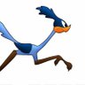 Фото профиля RoadRunner777