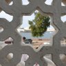 Фото профиля AbdulRahman Mohammed