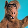 Фото профиля Daily ALF