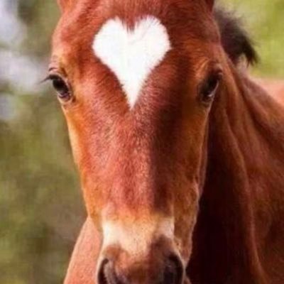 Minnie1602's profile picture