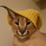 Profilbild von Aurum