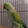 Jad_S. profil fotoğrafı