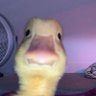 moni's profile picture
