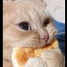 tusita's profile picture