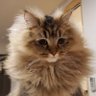 たっくん profil fotoğrafı
