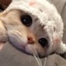 库库's profile picture