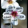ahmedmaher's profile picture