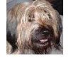 Chelo's profile picture