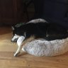 Bart's profile picture