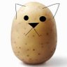PotatoCattack 的头像