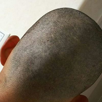 Mr. Botak's profile picture