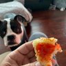 dadandlucy profil fotoğrafı