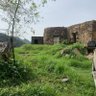 Meriam profil fotoğrafı