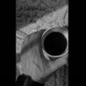 م. فهد العنزي 的头像