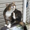 Фото профиля ふるっちゃん