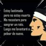 elitox Lizth profil fotoğrafı