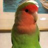 Profilbild von marikon