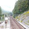 Profilbild von 秘境駅に佇むだるま