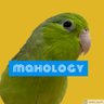 Фото профиля mahology