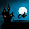 Wisest Witches's profile picture