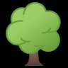 Forest profil fotoğrafı
