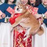 Фото профиля akaYoBoy