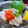 Фото профиля 白子ぽん酢