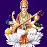 Gaytri Singh yadav's profile picture