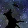 ぱう🌠's profile picture