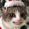 chuzzy's profile picture