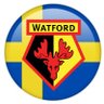 Watford FC Sweden profil fotoğrafı