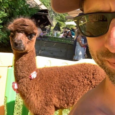 mitWorte's profile picture