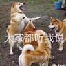 0431 bb 的头像