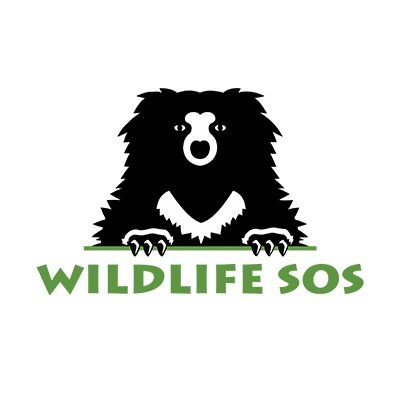 Wildlife SOS's profile picture