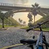Jorge_SZ profil fotoğrafı