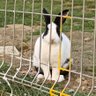 Bir Dost profil fotoğrafı