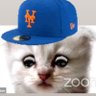 Фото профиля NYC is a Mets Town