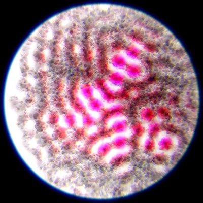 ciphrd's profile picture
