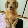 リンダカラーテル profil fotoğrafı