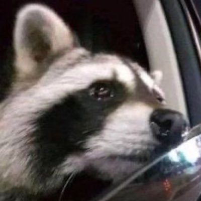 zuls's profile picture