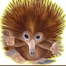 Ехиднушка's profile picture