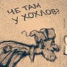 veselwe_kartinki's profile picture