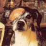 CuttersGoose's profile picture