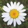 Profilbild von AmySmekrud