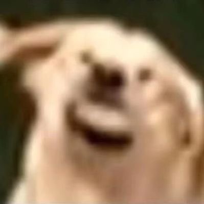 Axxxxxto's profile picture